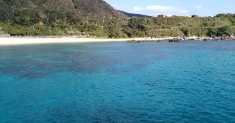 海が好きな人、釣り好きや旅行好きな方は特に楽しい現場！